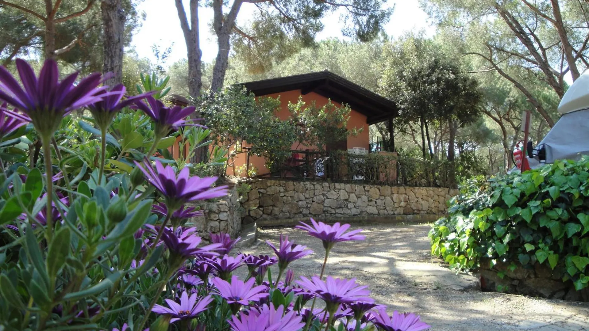 Holiday park Camping Lacona Pineta Capoliveri