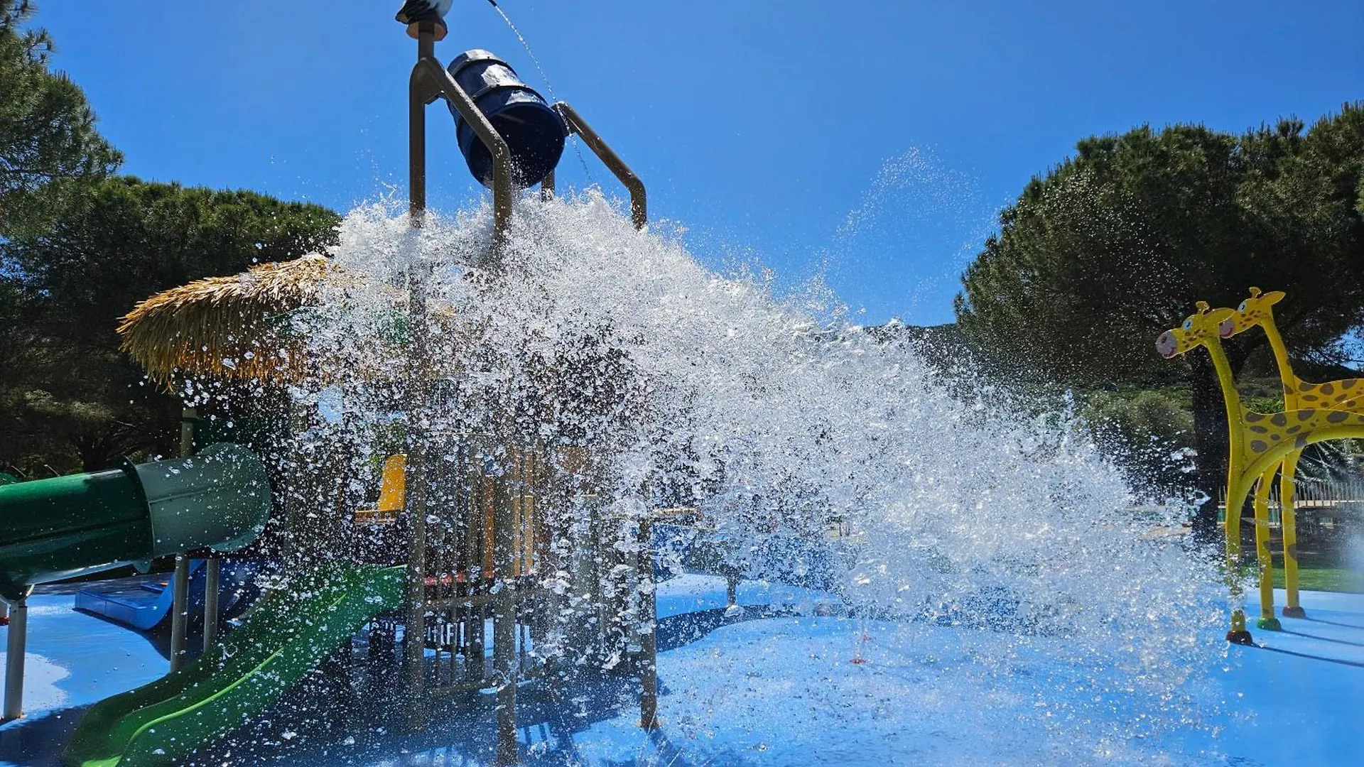 Camping Lacona Pineta Capoliveri  Holiday park